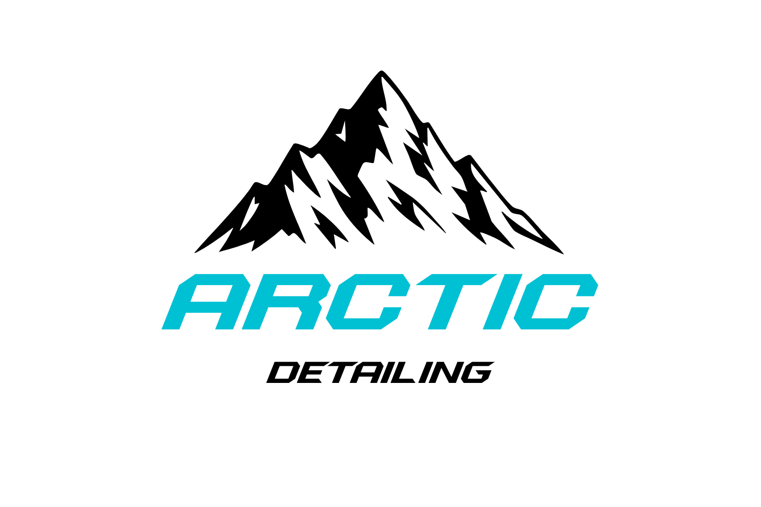 ARCTIC DETAILING